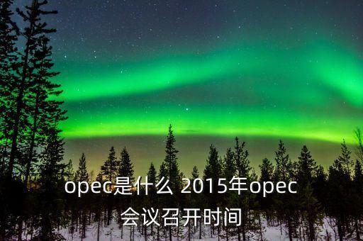 什么是opec會(huì)議，OPEC石油會(huì)議是什么時(shí)候召開啊石油價(jià)格會(huì)受影響嗎