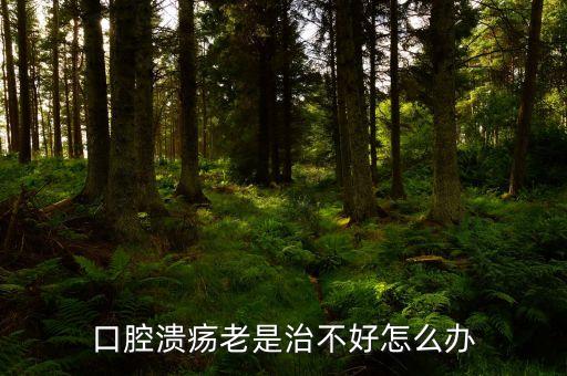 云南咖啡豆在什么時(shí)候采摘，云南小粒咖啡怎么吃要煮嗎