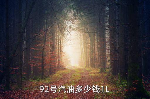 92號(hào)汽油什么價(jià)，92汽油價(jià)格