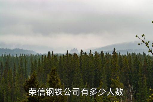 榮信電子有限公司什么時(shí)候成立，鞍山榮信電子怎么樣