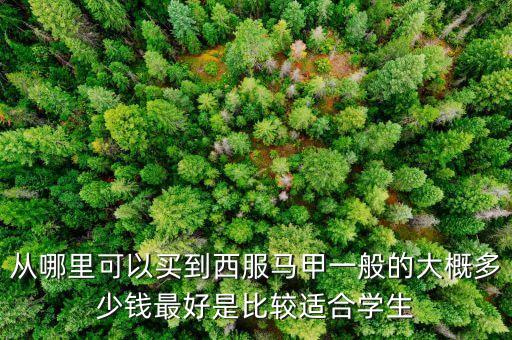 什么牌子賣西裝馬甲，什么牌子的西裝馬甲好