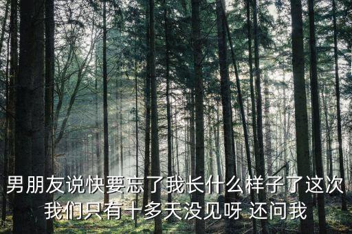 中國交通報(bào)快忘記老公長什么樣，最心酸請(qǐng)假條我都快忘記老公長什么樣子了