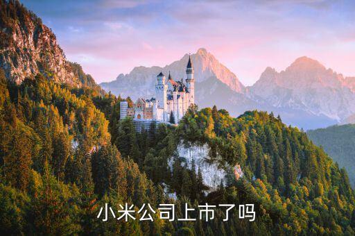 11月5什么手機(jī)上市公司，除了小米還有哪些手機(jī)公司上市了