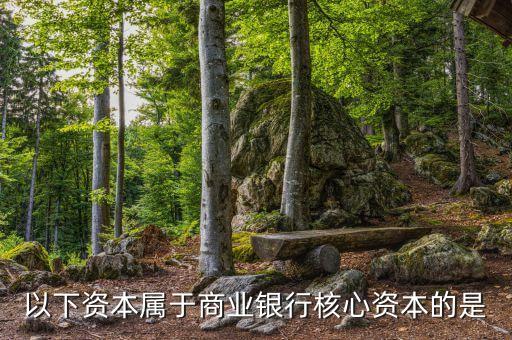 商業(yè)銀行核心資本是什么，商業(yè)銀行的核心資產(chǎn)包括哪些謝謝