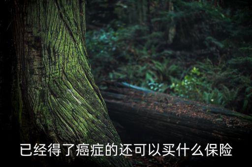 癌癥病人能買什么險，癌癥患者能參加什么保險