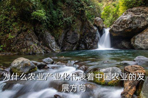 為什么要農(nóng)業(yè)產(chǎn)業(yè)化，為什么要提倡公司基地農(nóng)戶的產(chǎn)業(yè)化模式