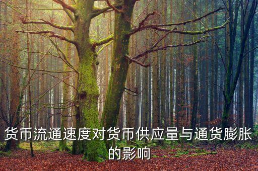 貨幣流通速度受什么影響，貨幣的流通速度和什么有關(guān)系