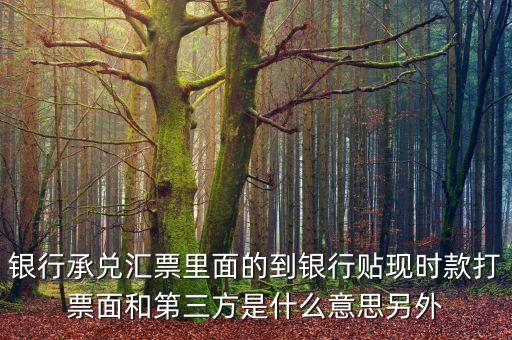 銀行承兌匯票里面的到銀行貼現時款打票面和第三方是什么意思另外