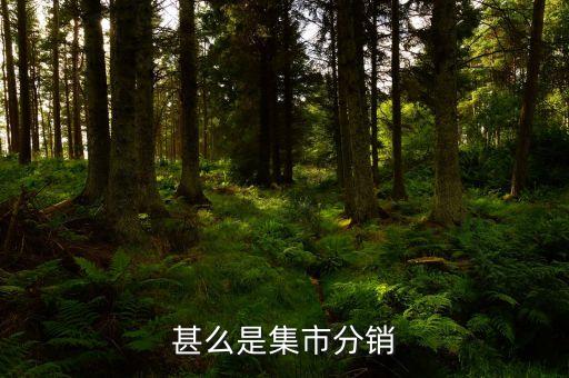 集采分銷是什么，什么是集中分銷