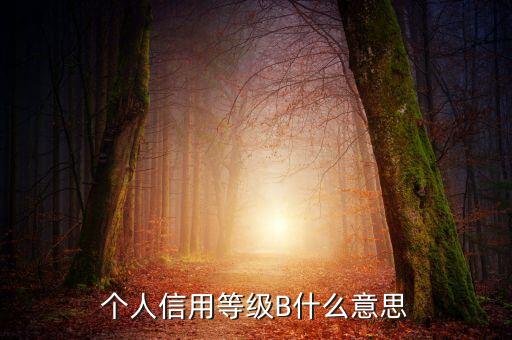 征信報告b級什么意思，中國人民銀行信用卡信用報告B級綜和評分837分啥意思