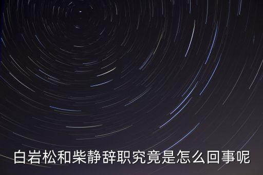 柴靜為什么辭職，白巖松和柴靜辭職究竟是怎么回事呢