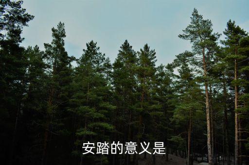 私募應(yīng)安踏在世界上有什么地位，私募在社會(huì)各界人士心目中的地位如何