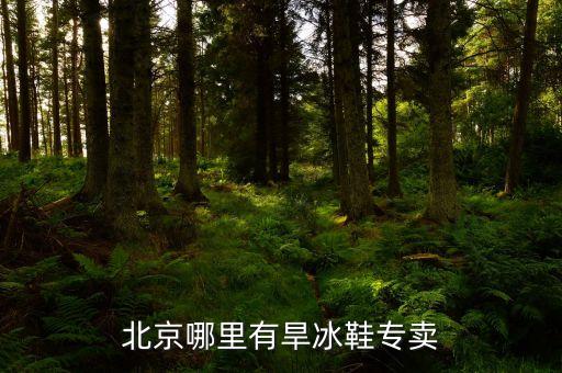 北京哪里有旱冰鞋專賣(mài)