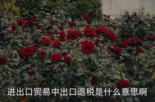 押匯退回什么意思，進出口貿(mào)易中出口退稅是什么意思啊