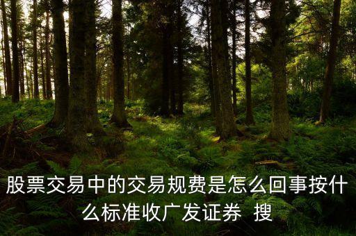股票交易中的交易規(guī)費是怎么回事按什么標(biāo)準收廣發(fā)證券  搜