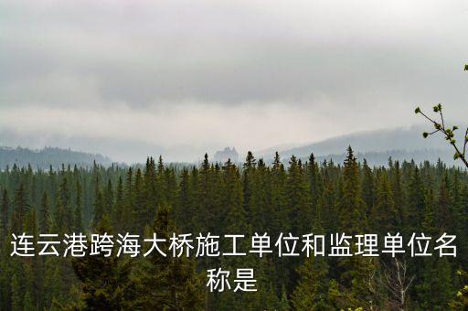 中交二航局什么平大橋，泰州長(zhǎng)江公路大橋施工單位是