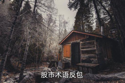股市術語反包
