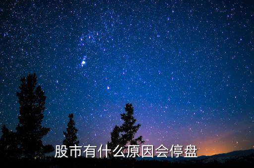 002203為什么停盤，股市有什么原因會停盤