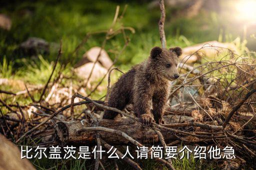 比爾蓋茨是個(gè)什么樣的人，比爾蓋茨是什么族裔的人