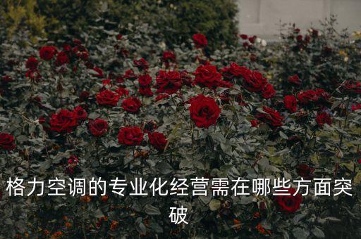格力空調(diào)的專(zhuān)業(yè)化經(jīng)營(yíng)需在哪些方面突破