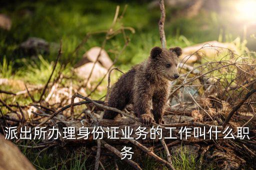 身份證歸什么管，身份證歸屬地姓名是什么