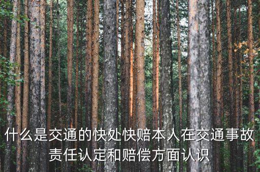 車(chē)險(xiǎn)快賠是什么，汽車(chē)快賠是什么意思