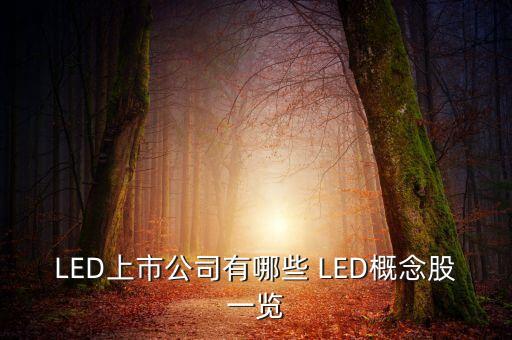 上市公司鴻什么視訊，視訊行業(yè)有哪些公司