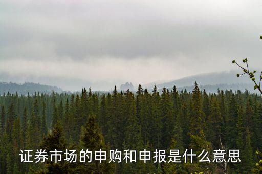 金融行業(yè)中的逐日申報是什么意思，外貿中到到銀行申報是什么意思申報什么呢哪位高人指點一下謝