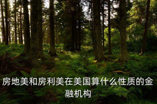房地美和房利美在美國算什么性質的金融機構