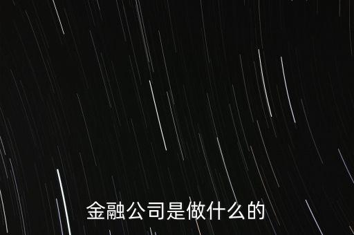 美國住宅金融公司是干什么的，房地美和房利美在美國算什么性質(zhì)的金融機構