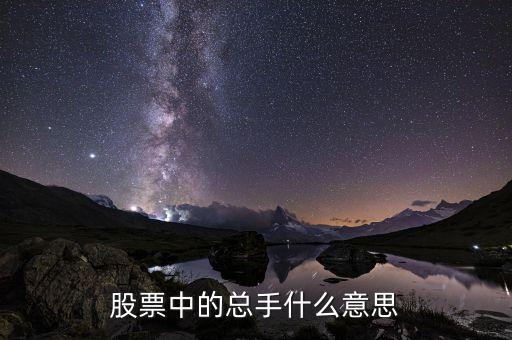 個股總手是什么意思，股票中的總手什么意思