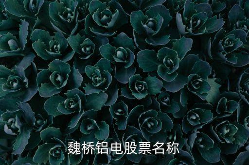 宏橋跟魏橋什么關(guān)系，宏橋中學(xué)怎么退學(xué)費(fèi)