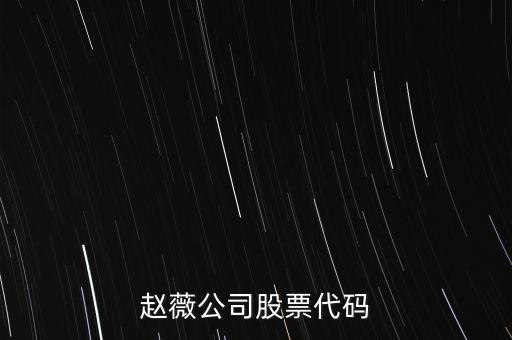 趙薇買(mǎi)的什么股票代碼，范冰冰 趙薇 股票5億買(mǎi)的什么股票