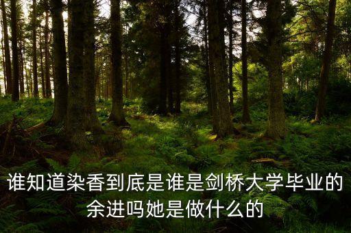 麥肯錫合伙人是什么，誰知道染香到底是誰是劍橋大學(xué)畢業(yè)的余進(jìn)嗎她是做什么的