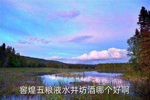 水井坊的高端品牌是什么，水井坊在哪買的好