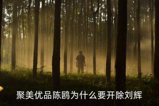 聚美優(yōu)品陳鷗為什么要開(kāi)除劉輝