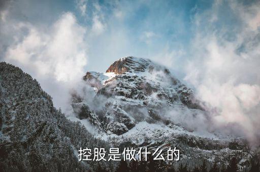 第一德勝控股是做什么的，廣東德勝電廠的控股防是那個(gè)公司