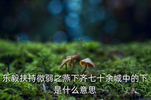 什么是進(jìn)口替代戰(zhàn)略，樂毅扶持微弱之燕下齊七十余城中的下是什么意思