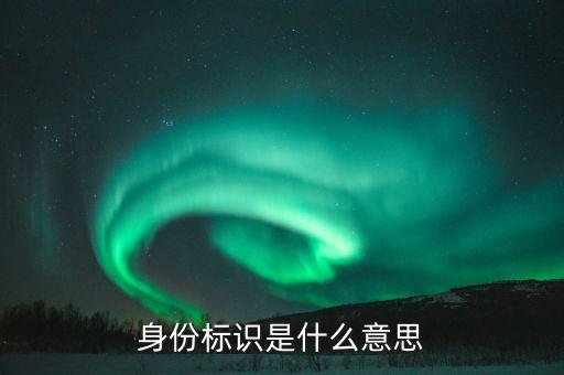 身份標識是什么意思