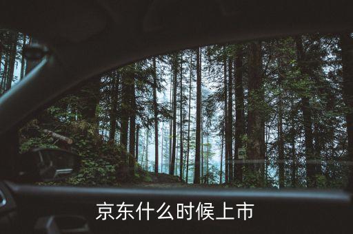 京東什么時間上市，京東什么時候上市