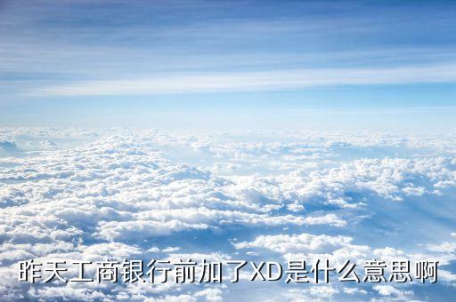 xd工商銀行是什么意思，征信系統(tǒng)中xd代號是哪個銀行