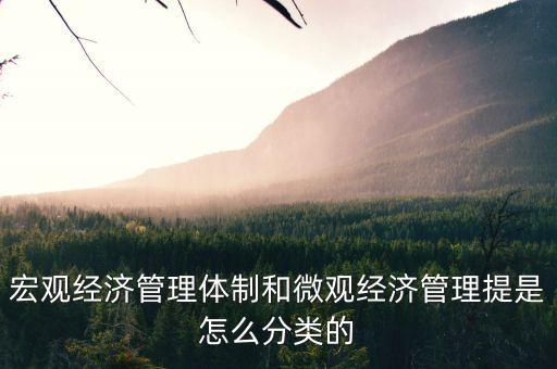 宏觀經(jīng)濟(jì)管理體制和微觀經(jīng)濟(jì)管理提是怎么分類(lèi)的