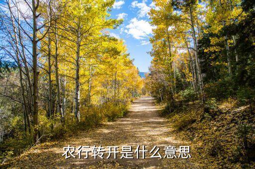 農(nóng)行轉(zhuǎn)開(kāi)是什么意思，農(nóng)行的轉(zhuǎn)開(kāi)現(xiàn)開(kāi)是什么意思