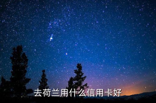 中國荷蘭兩地走要開張什么銀行卡，去歐洲旅游辦張那種的銀行卡方便呢