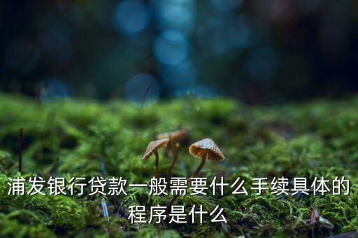 浦發(fā)銀行網(wǎng)貸通要什么條件，TB支持浦發(fā)  浦發(fā)開通網(wǎng)銀要什么條件比如要帶點(diǎn)什么的