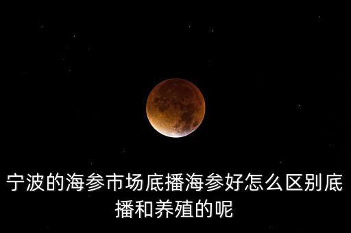 什么是底播海參，底播海參和非底播海參有什么區(qū)別