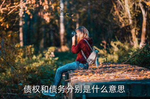 金融債務(wù)負(fù)擔(dān)是什么意思，Amortization financial debt 是什么意思
