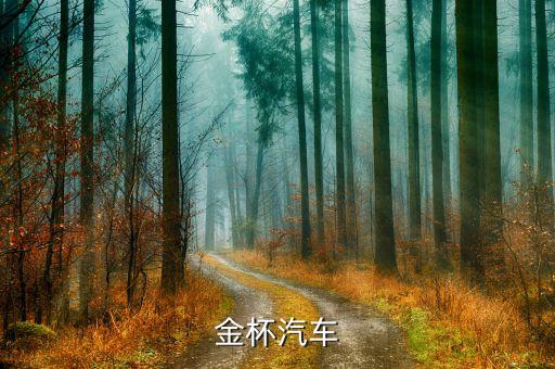 金杯汽車什么時(shí)侯改革，金杯面包車哪年起是黃標(biāo)車