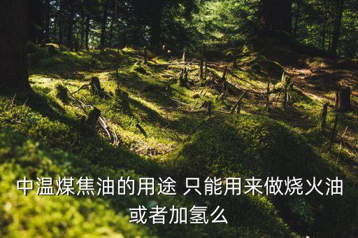 煤制油與煤焦油加氫有什么區(qū)別，焦油加氫改質(zhì) 加氫裂解有什么區(qū)別