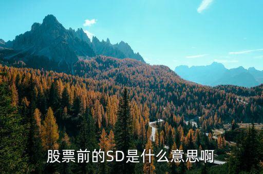 股票前的SD是什么意思啊